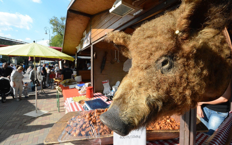 Hétvégén lesz a Palotai Kapu téren az idei Mangalica Fesztivál