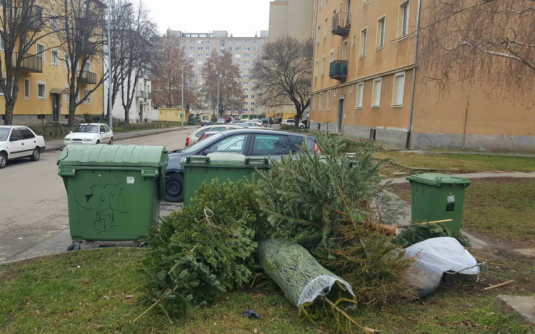 A héten még elviszik Fehérváron a családi házas övezetekben a lebontott és a kuka mellé helyezett...