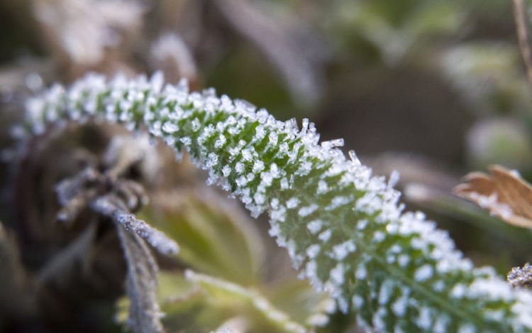 Lehűléssel indul a hét, visszatérnek a hajnali fagyok is