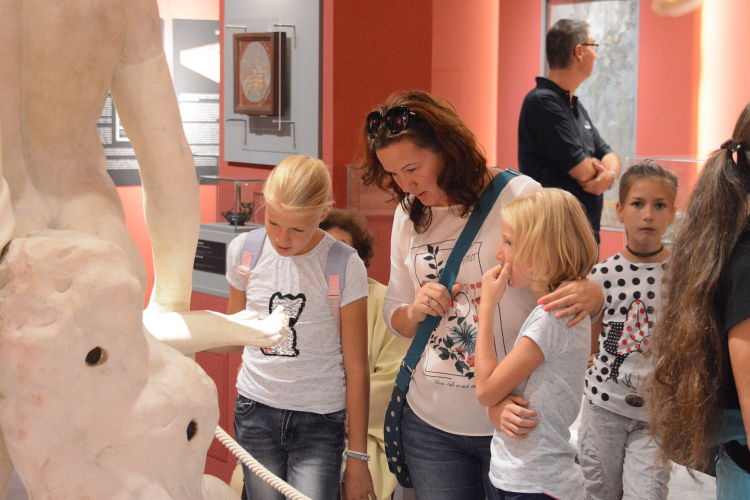 Királyi Napok – ingyenesen látogathatók a múzeum kiállítóhelyei