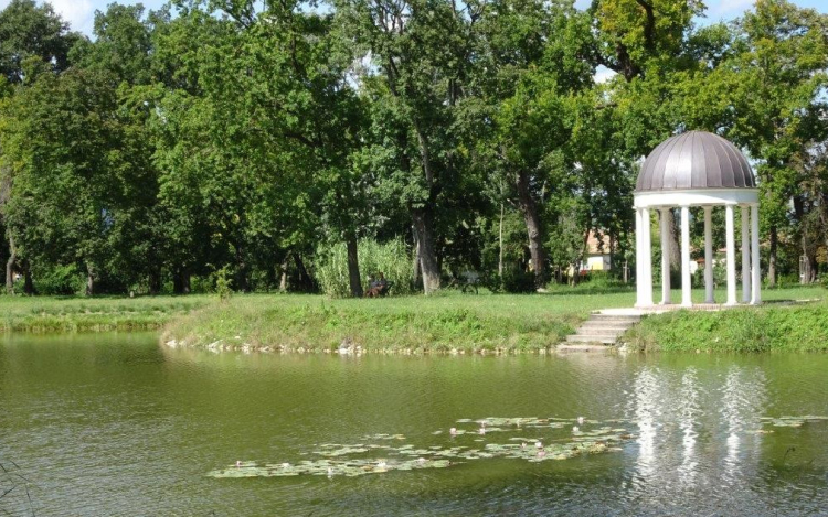 Október 15-én ismét botanikai séta a lesz a Károlyi kastély parkjában