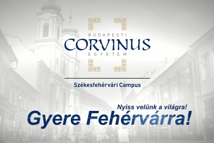 A duális képzési forma fejlesztési lehetőségeiről tanácskoztak a Városházán