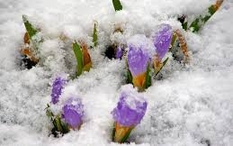 Pénteken jöhet a márciusi hó, a hónap végére visszatérhet a tél